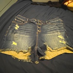Sz. 20 Torrid Distressed Denim Shorts